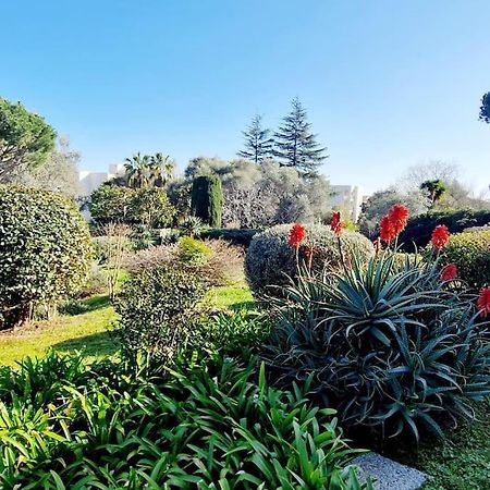 Studio Antibes Avec Piscine Екстер'єр фото